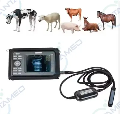 ¿Cómo ayuda la ecografía veterinaria en el diagnóstico de la pancreatitis en animales?